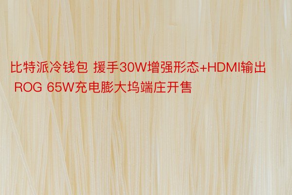 比特派冷钱包 援手30W增强形态+HDMI输出 ROG 65W充电膨大坞端庄开售