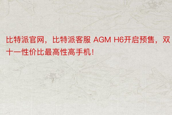 比特派官网，比特派客服 AGM H6开启预售，双十一性价比最高性高手机！